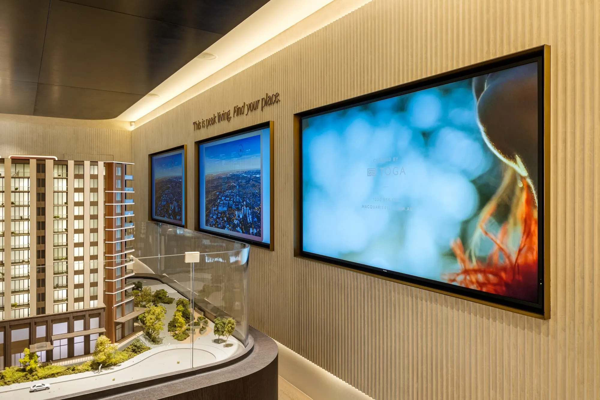 Macquarie Rise — image 3